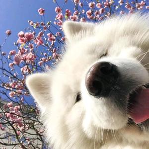 三少爷扯淡 头像