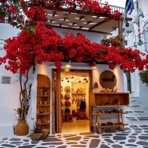 园艺无国界 头像