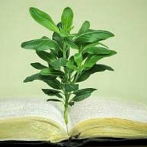 Kali说英语编织课堂 头像