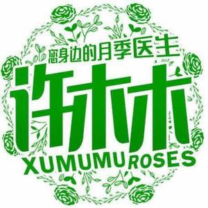 许木木月季 头像