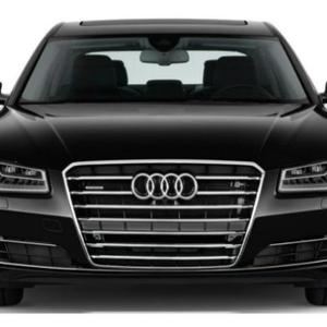 现实所迫小愤青！ 头像