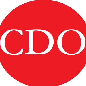 首席驾驭官 头像