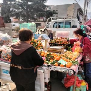 刘杰甜甜园头像