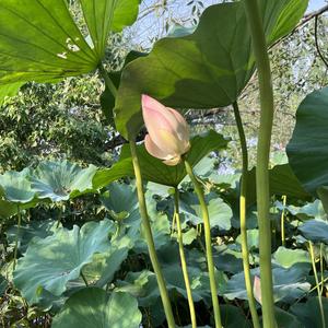 日落晚风Oo9T 头像