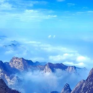 育学笔记 头像