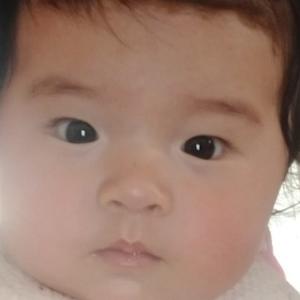 农人小胖胖 头像