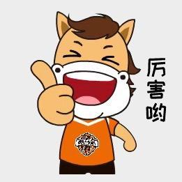 汉中微马队 头像