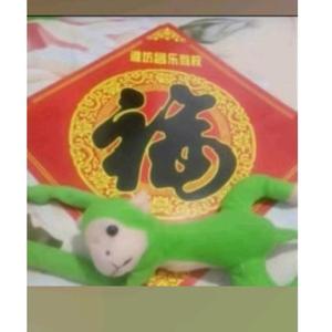 昌乐五图侯教练 头像