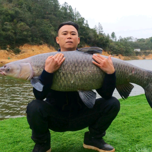 牛鼠峡钓鱼头像