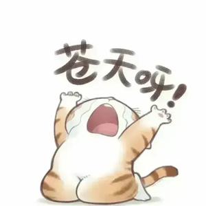 大郑州人士 头像