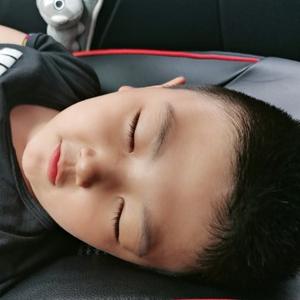 小胖手和小驴 头像