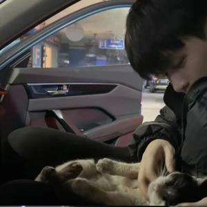 是苏不是输 头像