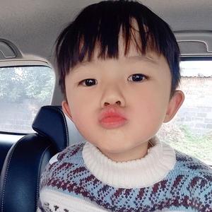 秋日海棠依旧 头像