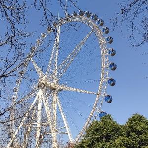 建考指南针 头像