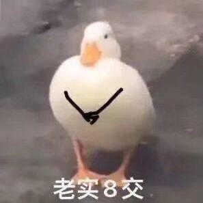 幽默小卷头像