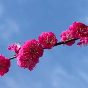 快乐拾光旅行 头像