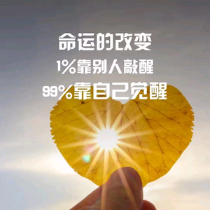 次号已注销 头像