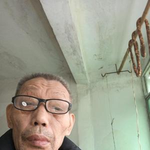 清六教学 头像