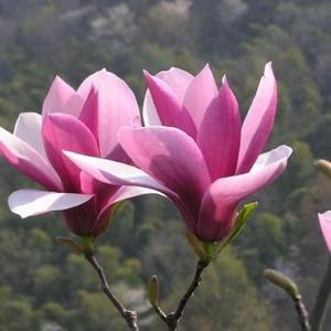 乐业思静