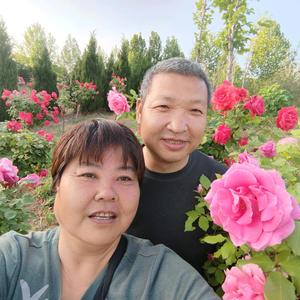 爱生活的珍姐osdJ 头像