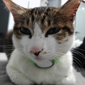 篱笆墙外赏繁花 头像