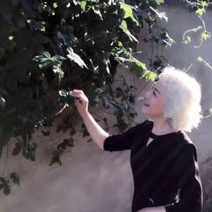 巧克力奶奶-职场 头像