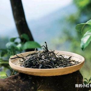 墨涵与茶头像