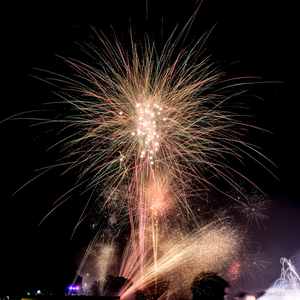 戴帽的游子 头像