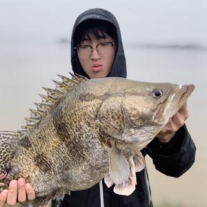 陈大发爱路亚 头像