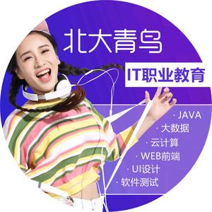 南京北大青鸟