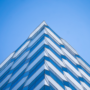 老王很正经 头像