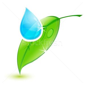 叶尖滴水