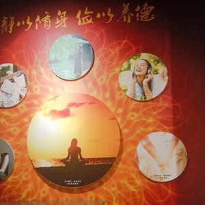 乐观的小蜜蜂12 头像