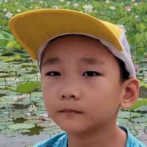 日月组合明