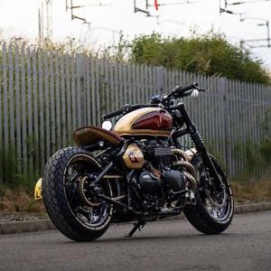 踩蚂蚁啃骨头 头像