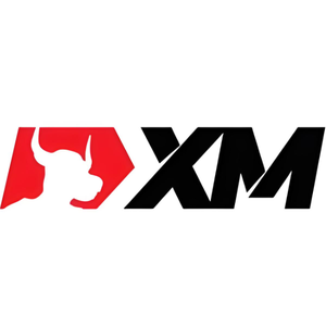 XM交易平台 头像
