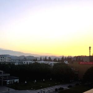 低调的无客 头像