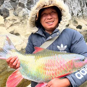 神钓侠女(露营野钓) 头像