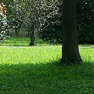 解放山平川 头像