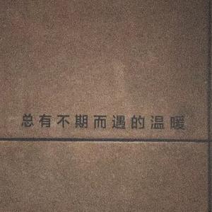 科技优选汇集 头像
