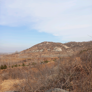 看看据统计 头像