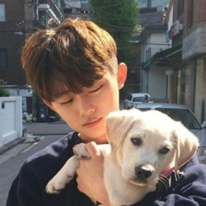 北纬以北i 头像