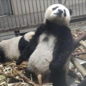 博学多才的海之港 头像