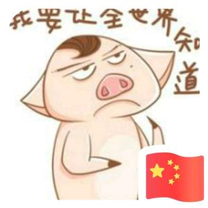 半只笨猪头像