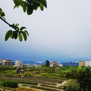 大伟在江湖 头像