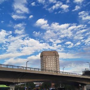 滨子看世界 头像