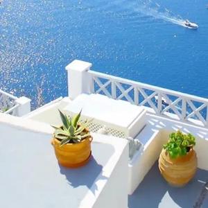 五五的立夏 头像