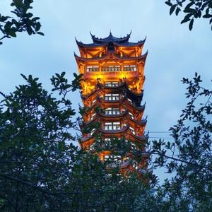 爱说金融杨老师 头像