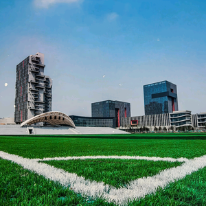 WPS办公教学高老师 头像