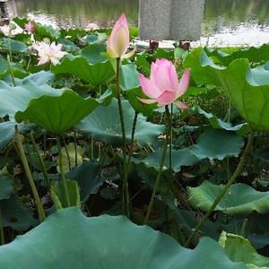 星座情感社 头像